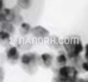 Manganese Iron Oxide (MnFe2O4) Nanopowder / Nanoparticles Manganese Iron Oxide (MnFe2O4) Nanopowder / Nanoparticles