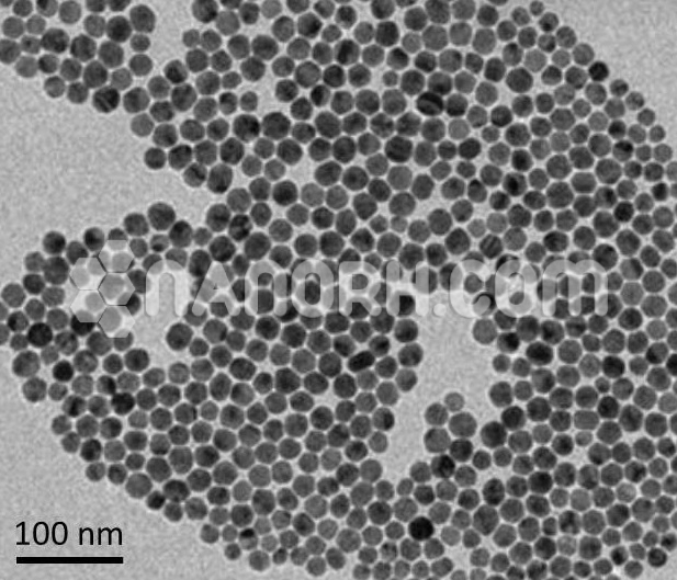 Platinum (Pt) Nanoparticles Water Dispersion Platinum (Pt) Nanoparticles Water Dispersion