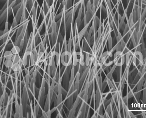 SWCNTs Ethanol Dispersion