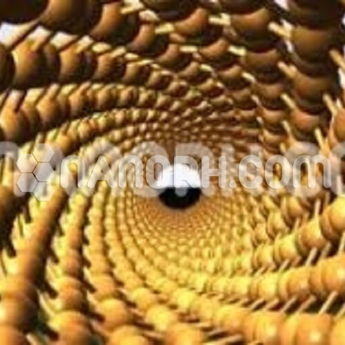 Gold Nanotubes