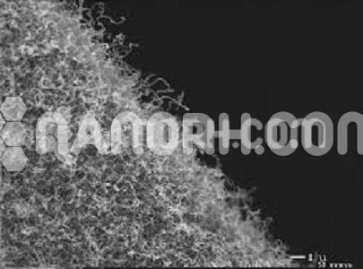 Iron Carbon Nanotubes Iron Carbon Nanotubes