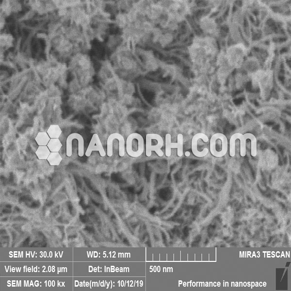 MWCNTs Doped with Nanopowder Ag in Water Dispersion