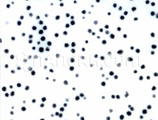 Zinc Oxide (ZnO) Nanopowder in Butyl Acetate Dispersion (ZnO Butyl Acetate Dispersion, 40wt%, 30-40 nm) Zinc Oxide (ZnO) Nanopowder in Butyl Acetate Dispersion