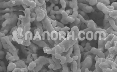 Titanium dioxide Nanotubes
