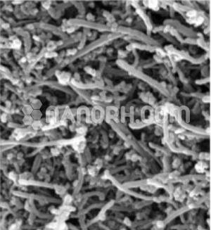 MWCNTs Doped with Nanopowder Ag in Water Dispersion