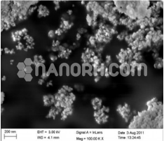 Fe2O3 Iron Oxide Nanoparticles / Nanopowder 15wt% Water Dispersion (Gamma, 99.9%, 10nm, Brown) Fe2O3 Iron Oxide Nanoparticles / Nanopowder 15wt% Water Dispersion (Gamma, 99.9%, 10nm, Brown)