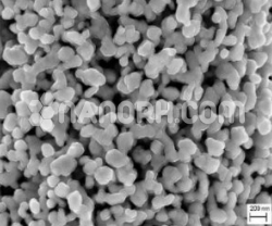 Iron Hydroxide Nanoparticles / Fe(OH)3 Nanopowder 15wt% Ethanol Dispersion, 5nm, Dark Orange