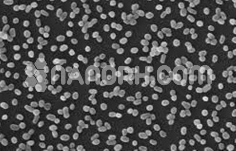 Diamond (C) Nanoparticles Ethanol Dispersion