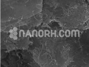 Graphene Carbon Nanotubes 6wt% in Water Dispersion