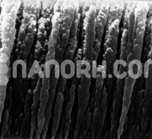 Carbon Nanorods