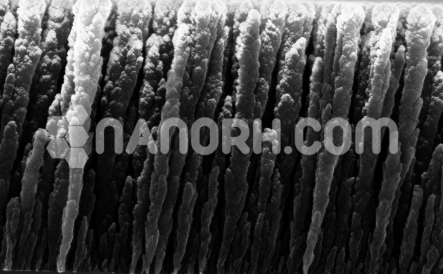Carbon Nanorods