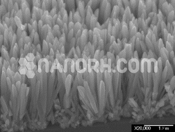 Iridium Nanorods