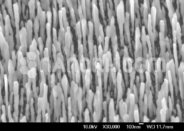 Silver Nanorods Silver Nanorods