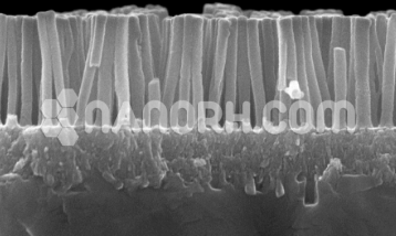 Tantalum Nanorods Tantalum Nanorods