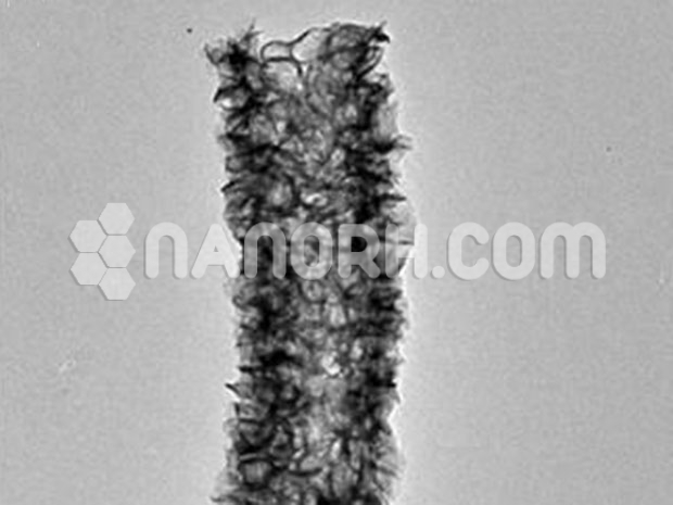 Molybdenum Disulfide Nanotubes