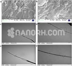 Silver Nanotubes