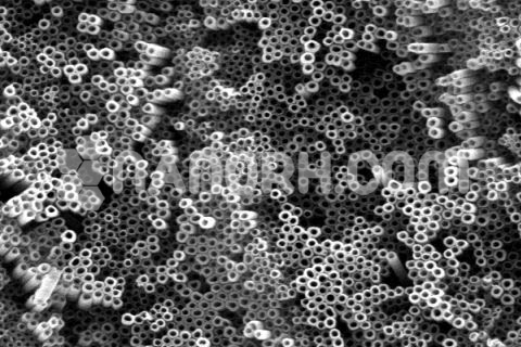 Titanium Oxide Nanotubes Titanium Oxide Nanotubes