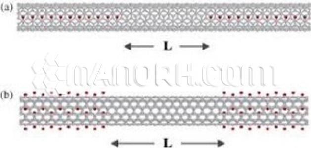 Nickel Carbon Nanotubes