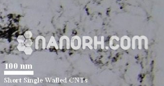 OH Functionalized Short SWCNTs OH Functionalized Short SWCNTs