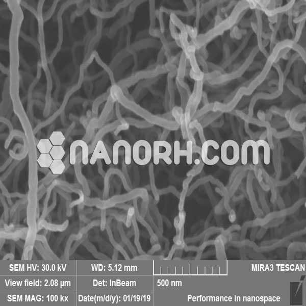 PVP Coated Graphitized MWNTs PVP Coated Graphitized MWNTs