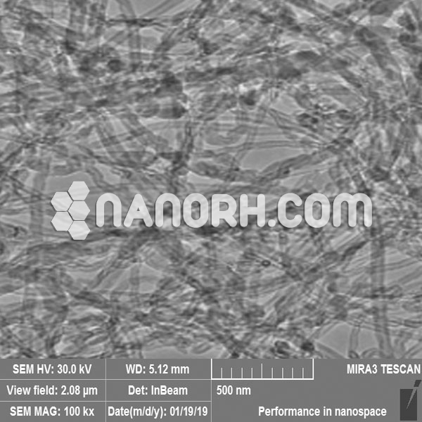 Short SWCNTs Doped with Nanopowder Ag in Water Dispersion