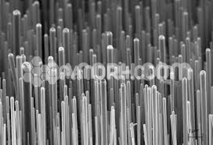Silicon Nanowires Silicon Nanowires