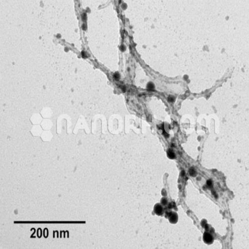 Tin Carbon Nanotubes