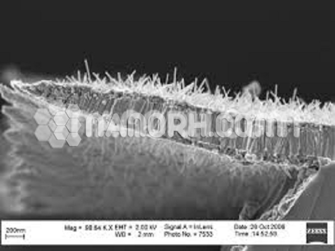 Tungsten(VI) Oxide Nanowires