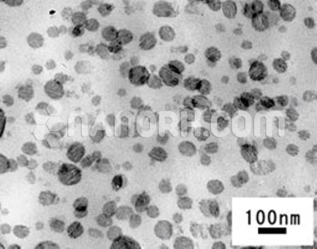 Platinum (Pt) Nanopowder / Nanoparticles Water Dispersion (Pt Nanoparticles Aqueous Dispersion, 3nm, 50ppm, Black Color)