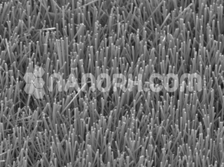 Silicon Nanorods Supplier Silicon Nanorods Supplier