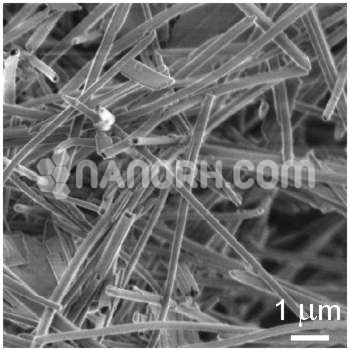 Silicon Nanotubes