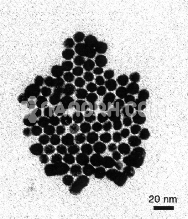 Gold/ Cadmium Sulfur Core Shell Nanoparticles Gold/ Cadmium Sulfur Core Shell Nanoparticles