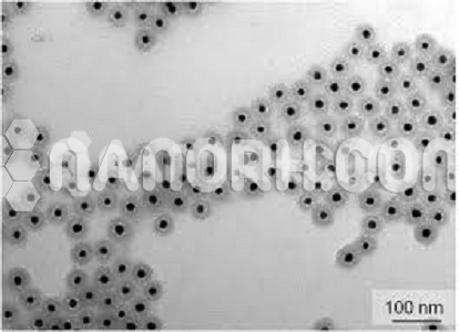 Gold-Silica Core-Shell Nanoparticles