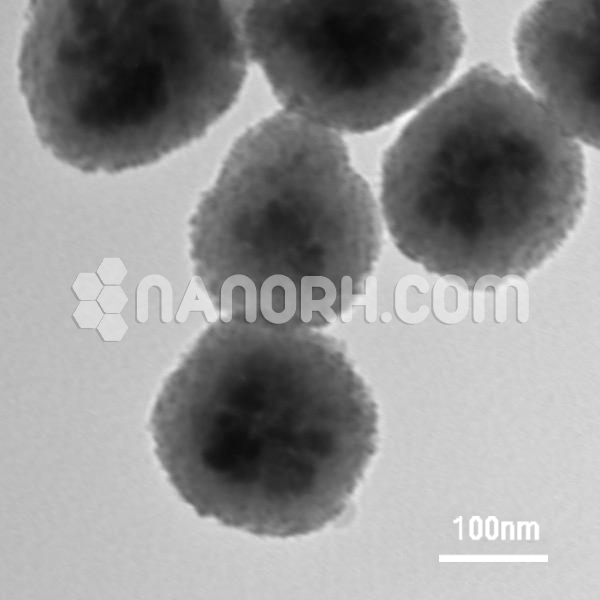 Iron Oxide Polyvinyl (4 Pyridine) Core Shell Nanoparticles