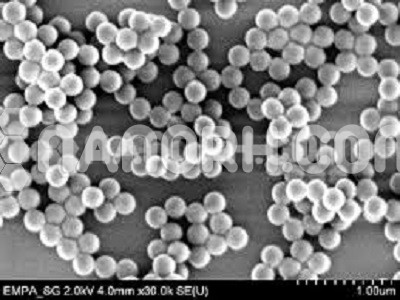 Lithium Tungsten Powder Lithium Tungsten Powder (Li2WO4, Purity: 99%, APS: 40-50µm)