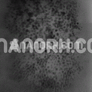 Magnesium Acetate Nanopowder