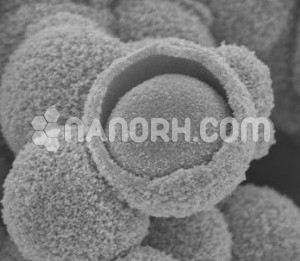 Ag SiO2 core shell Nanoparticle