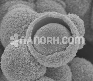 Ag SiO2 core shell Nanoparticle Ag SiO2 core shell Nanoparticle