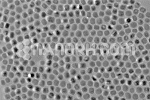 Au TiO2 Core Shell Nanoparticles Au TiO2 Core Shell Nanoparticles