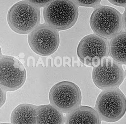 CdSe CdS ZnS Core Shell Nanoparticles