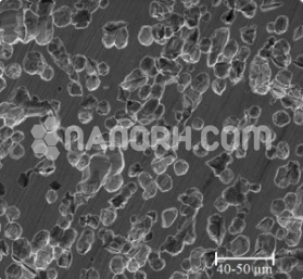 Rhodium Metal Nanoparticles