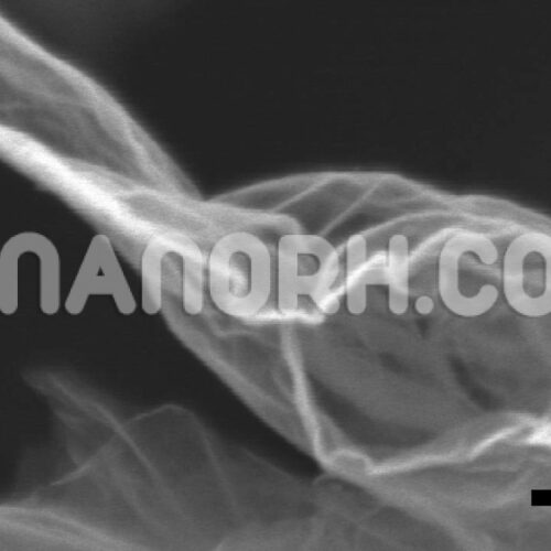 Graphene Dispersion Organic Solvent