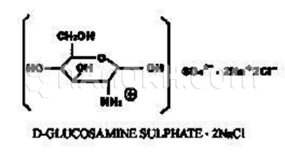 Nutritious-Supplements-D-Glucosamine-Sulphate-2nacl-Powder Nutritious-Supplements-D-Glucosamine-Sulphate-2nacl-Powder