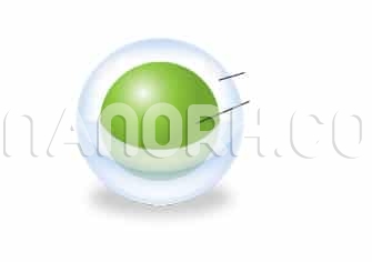 Silver Carbon Core-Shell Nanoparticles Silver Carbon Core Shell Nanoparticles