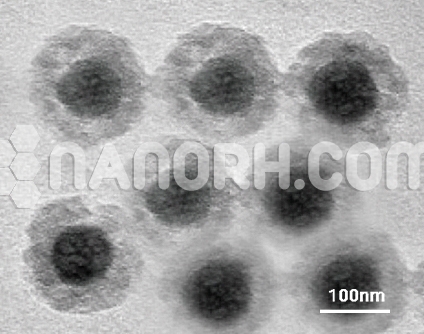 ZnO SiO2 Core Shell Nanoparticles ZnO SiO2 Core Shell Nanoparticles