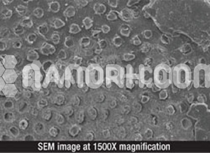 sodium fluoride powder sodium fluoride powder