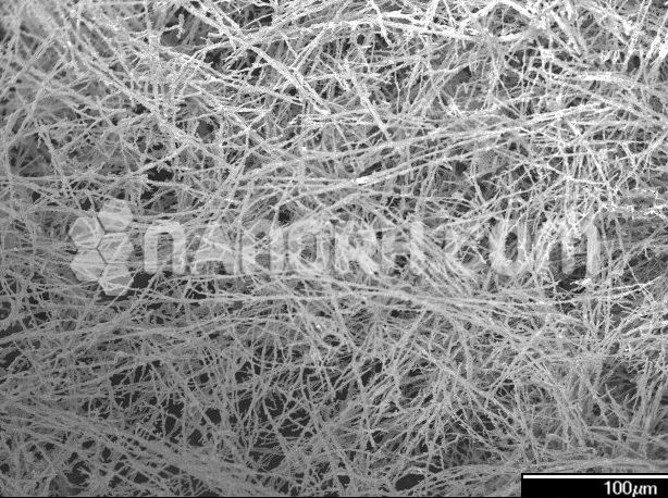 Nickel Oxide Nanofibers (NiO, 99%, OD ~200nm, Length~ 15um)