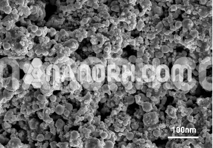 Cerium Oxide Nanoparticles Cerium Oxide Nanoparticles