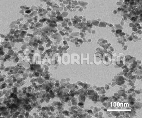 Superparamagnetic Iron Oxide Nanoparticles (SPIONs)