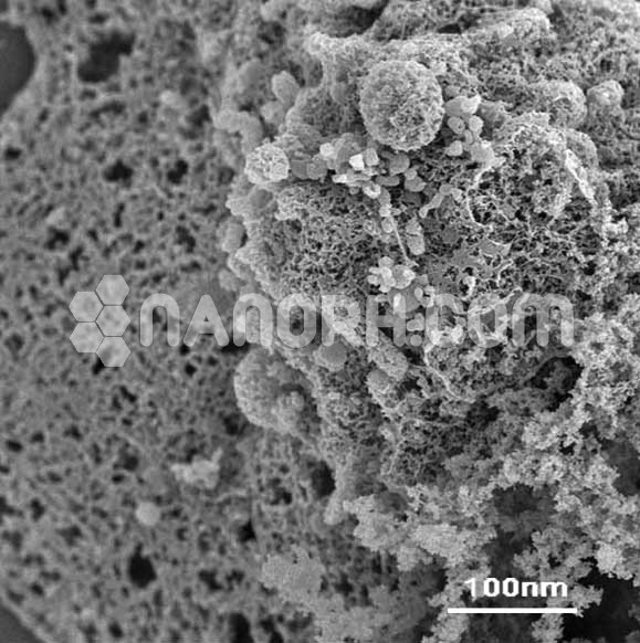 Potassium Tellurite Nanoparticles
